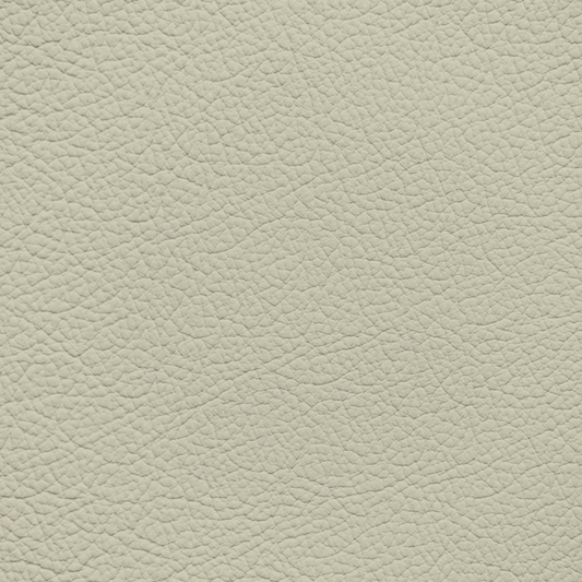 Mercedes Parchment Leather Dye