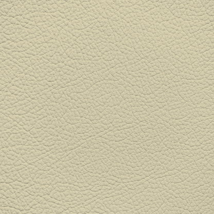 Lexus Parchment Leather Dye