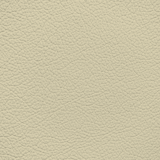 Lexus Parchment Leather Dye