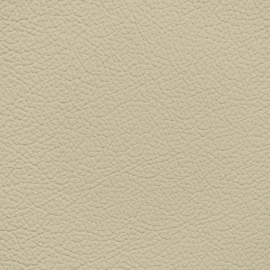 Jaguar Parchment Leather Dye