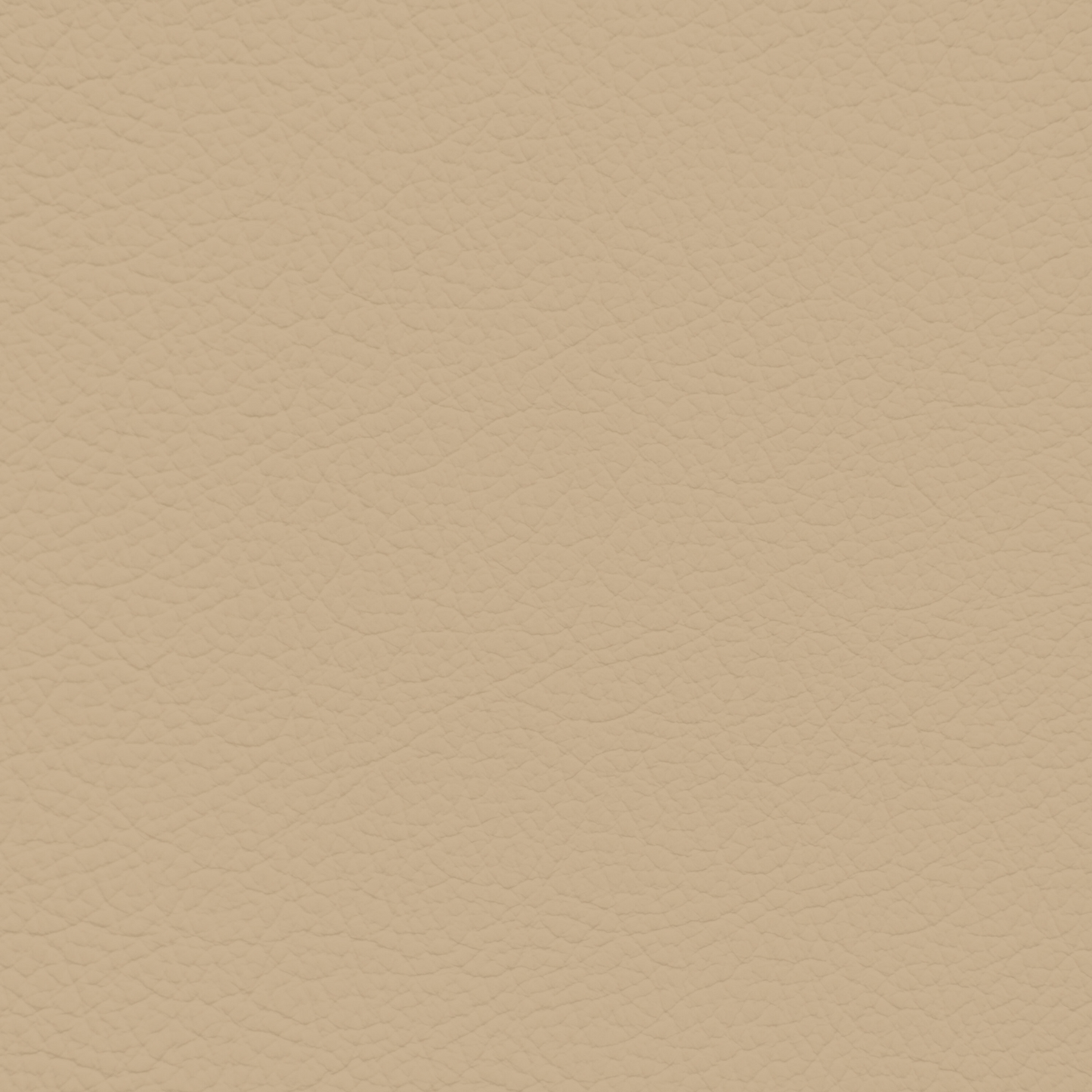 GM Parchment Leather Dye
