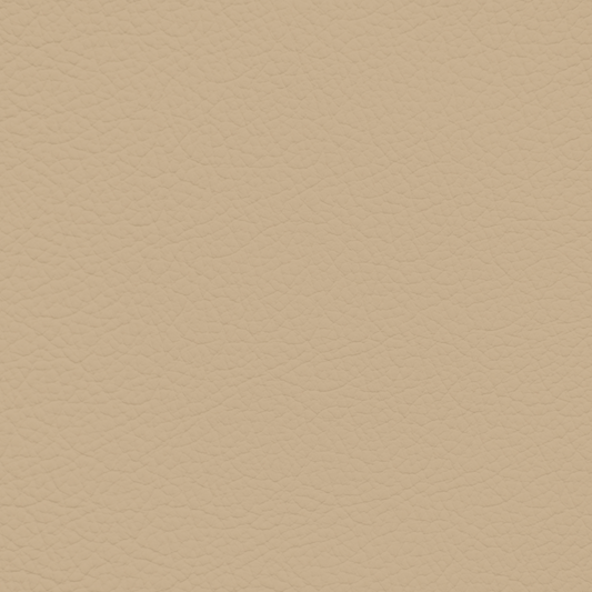 GM Parchment Leather Dye