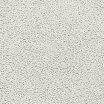 Audi Pearl Beige Leather Dye