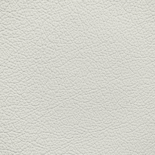 Audi Pearl Beige Leather Dye