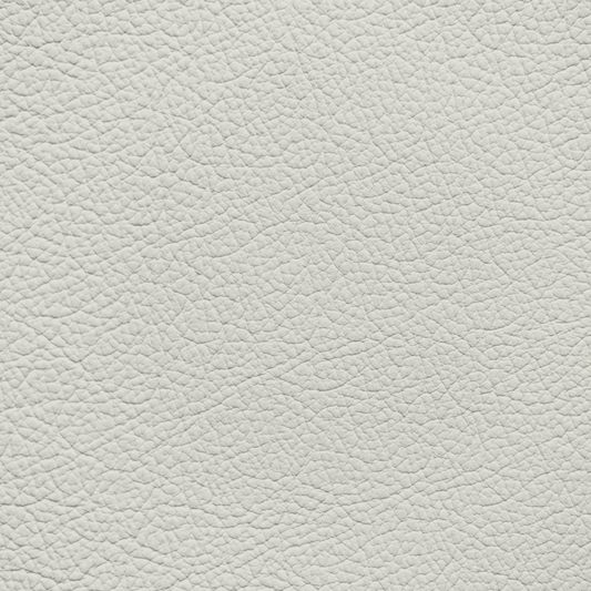 Chrysler/Dodge/Jeep/Plymouth Pearl White Leather Dye