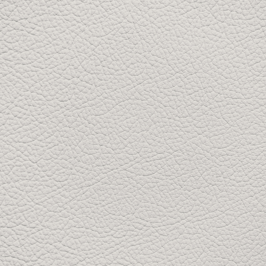 Porsche Pearl White Leather Dye