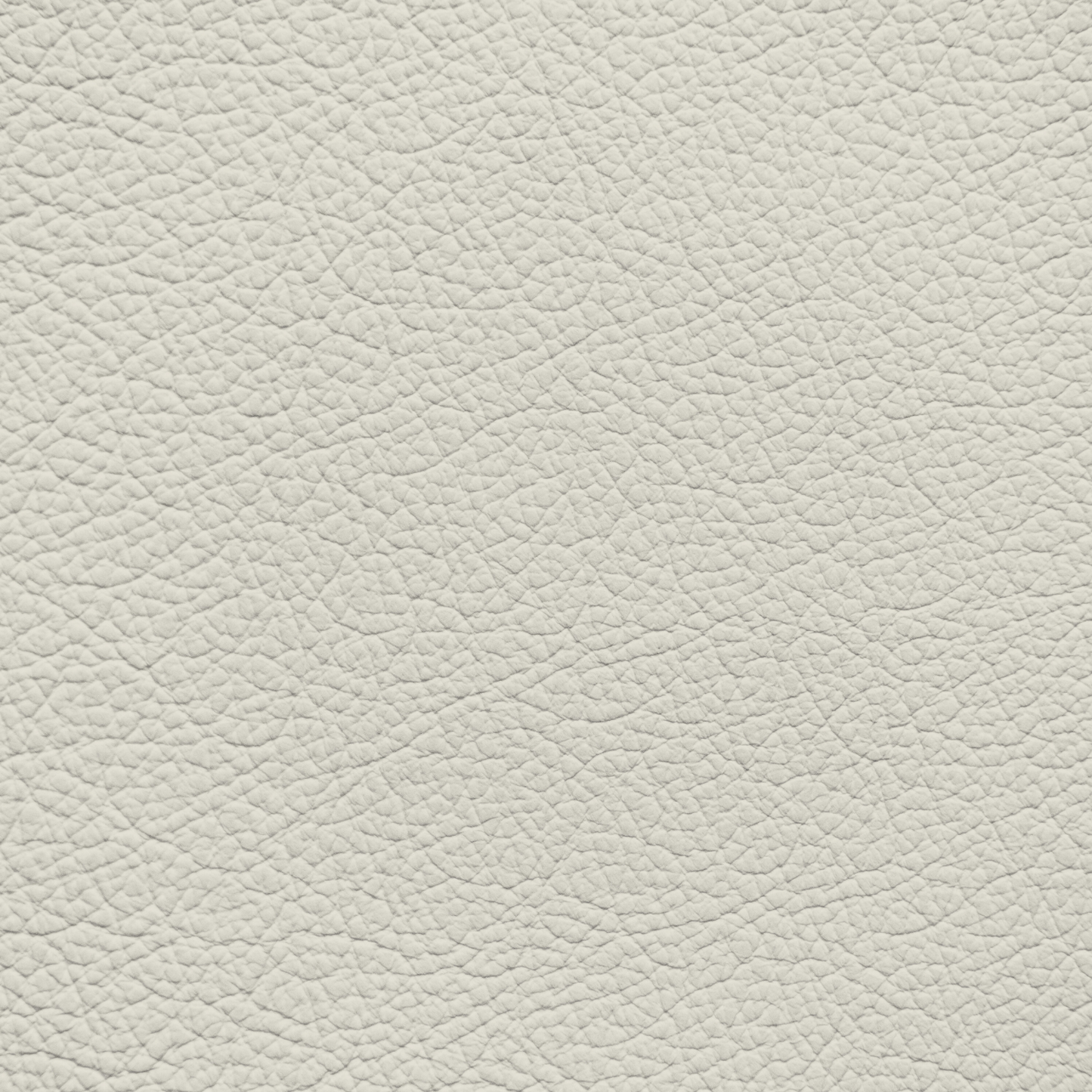 Mercedes Pebble Leather Dye