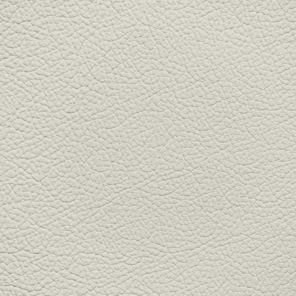 Mercedes Pebble Leather Dye