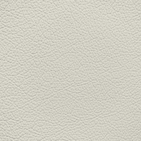 Mercedes Pebble Leather Dye