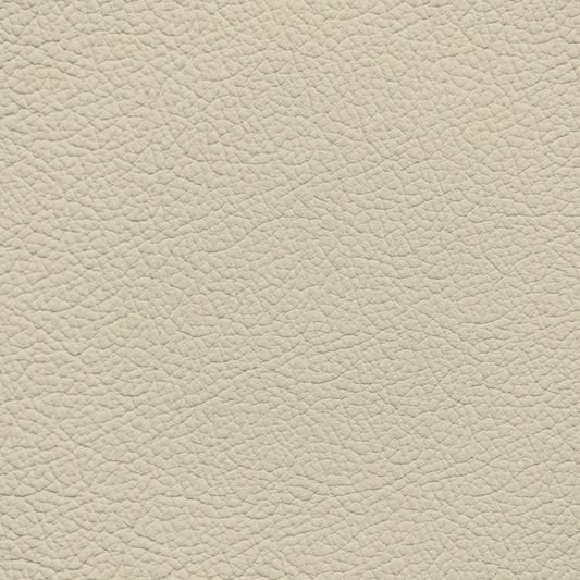 Mercedes Pebble Beige Leather Dye