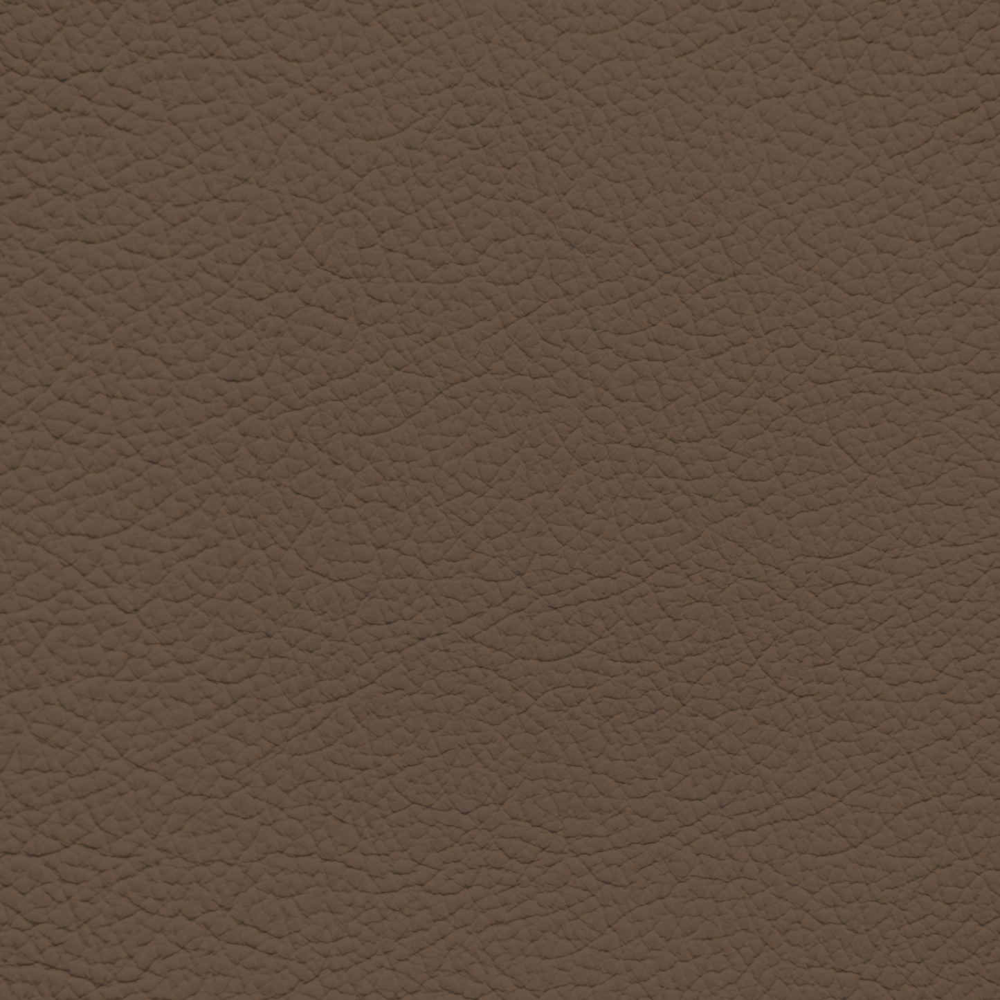 Ford/Lincoln/Mercury Pecan Leather Dye