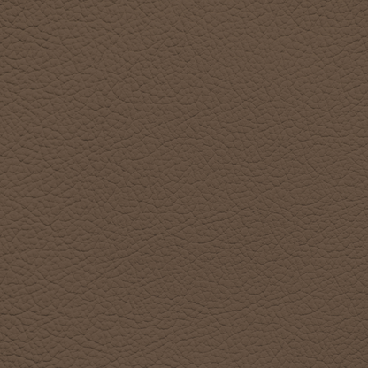 Ford/Lincoln/Mercury Pecan Leather Dye