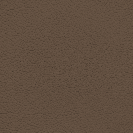 Ford/Lincoln/Mercury Pecan Leather Dye