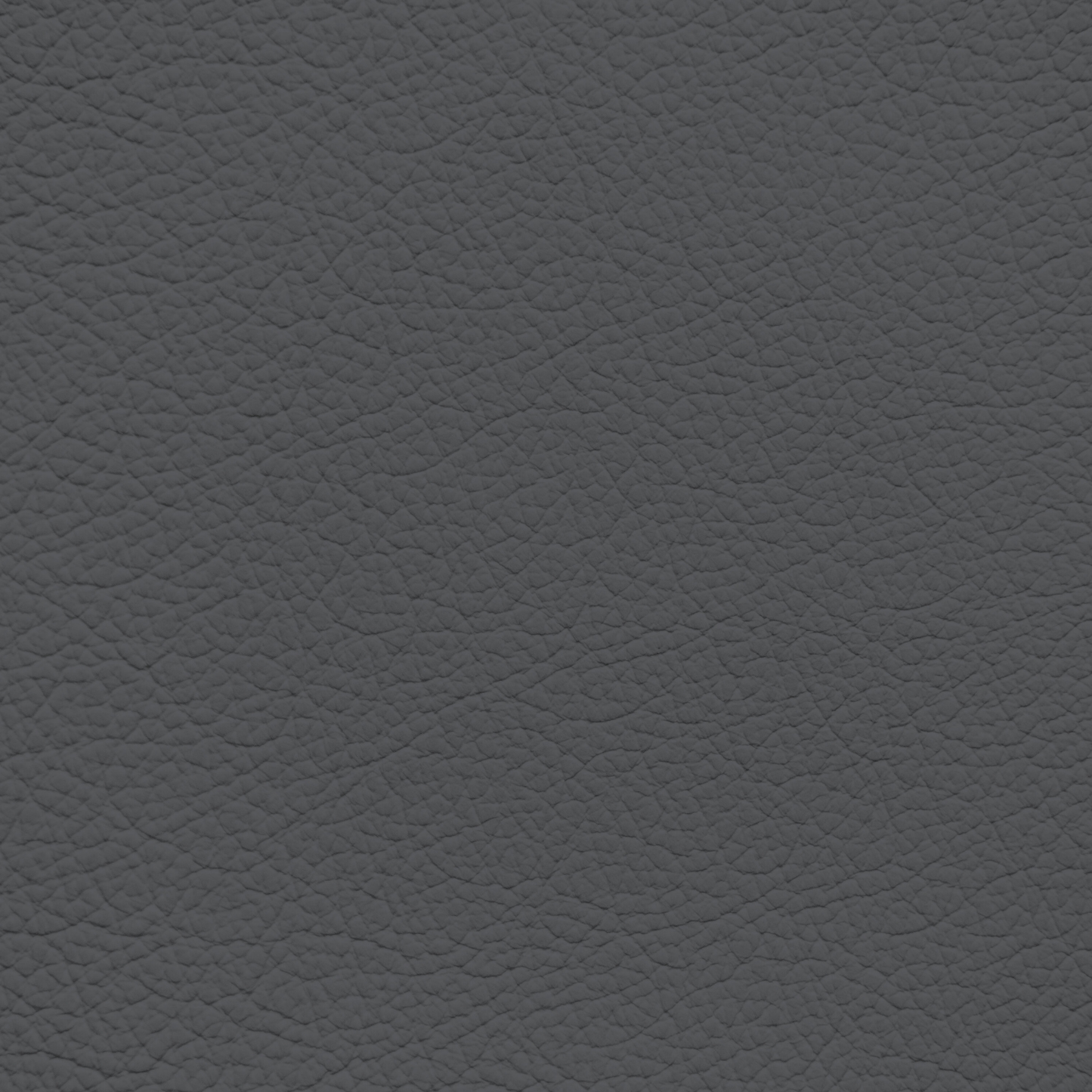 Ford/Lincoln/Mercury Pewter Leather Dye