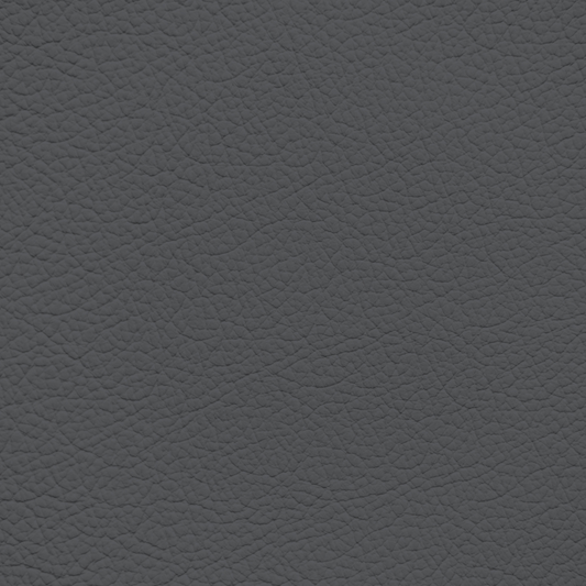 Ford/Lincoln/Mercury Pewter Leather Dye