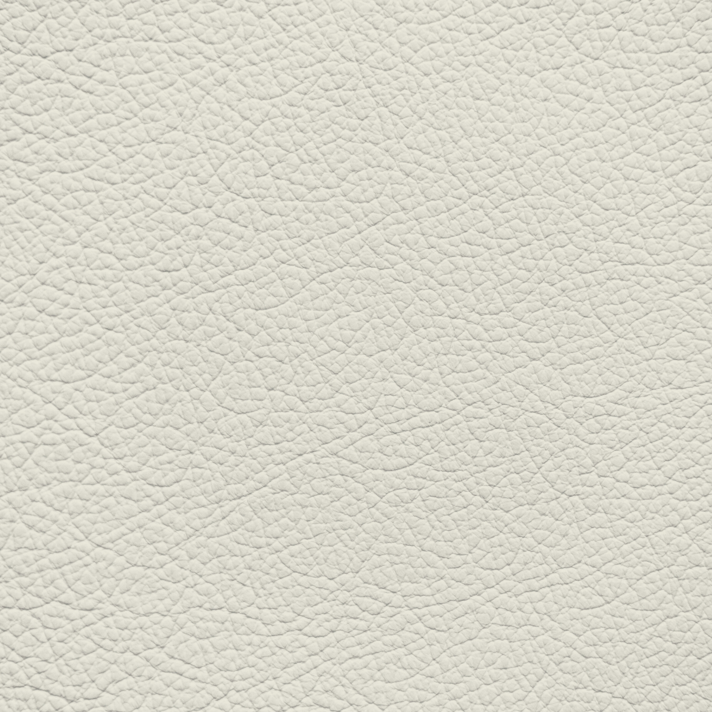 Jaguar Phantom White Leather Dye