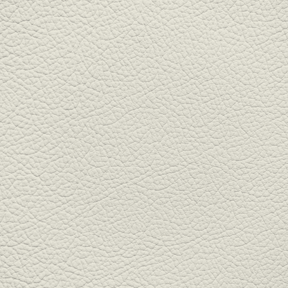 Jaguar Phantom White Leather Dye