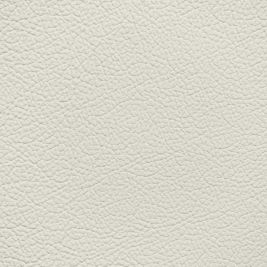 Jaguar Phantom White Leather Dye