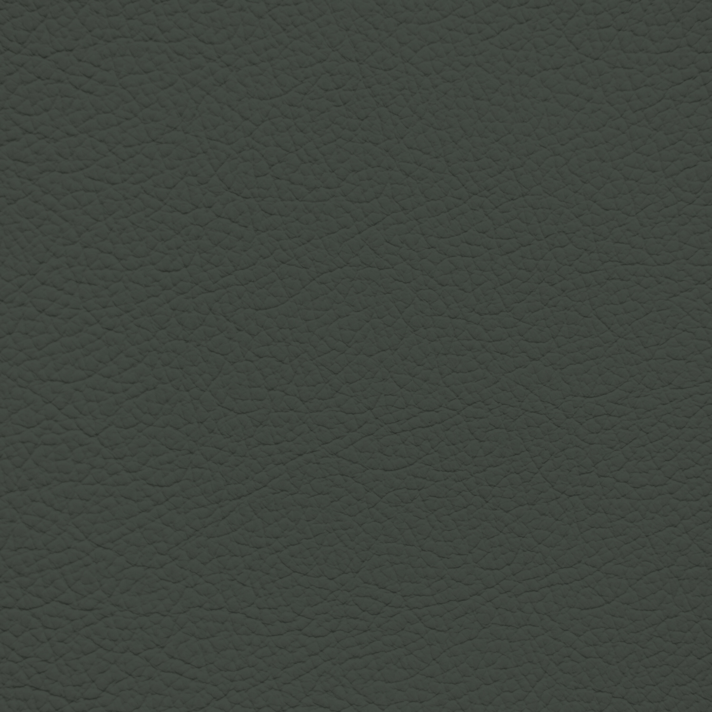 Mercedes Pine Green Leather Dye