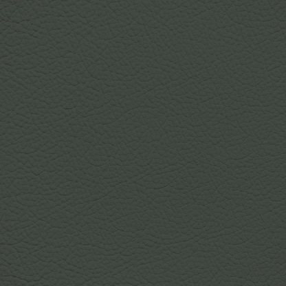 Mercedes Pine Green Leather Dye
