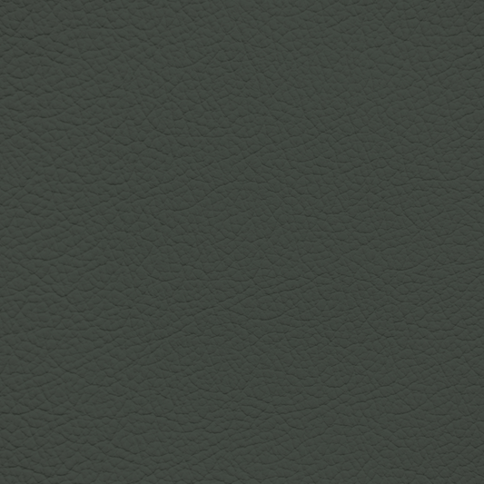Mercedes Pine Green Leather Dye
