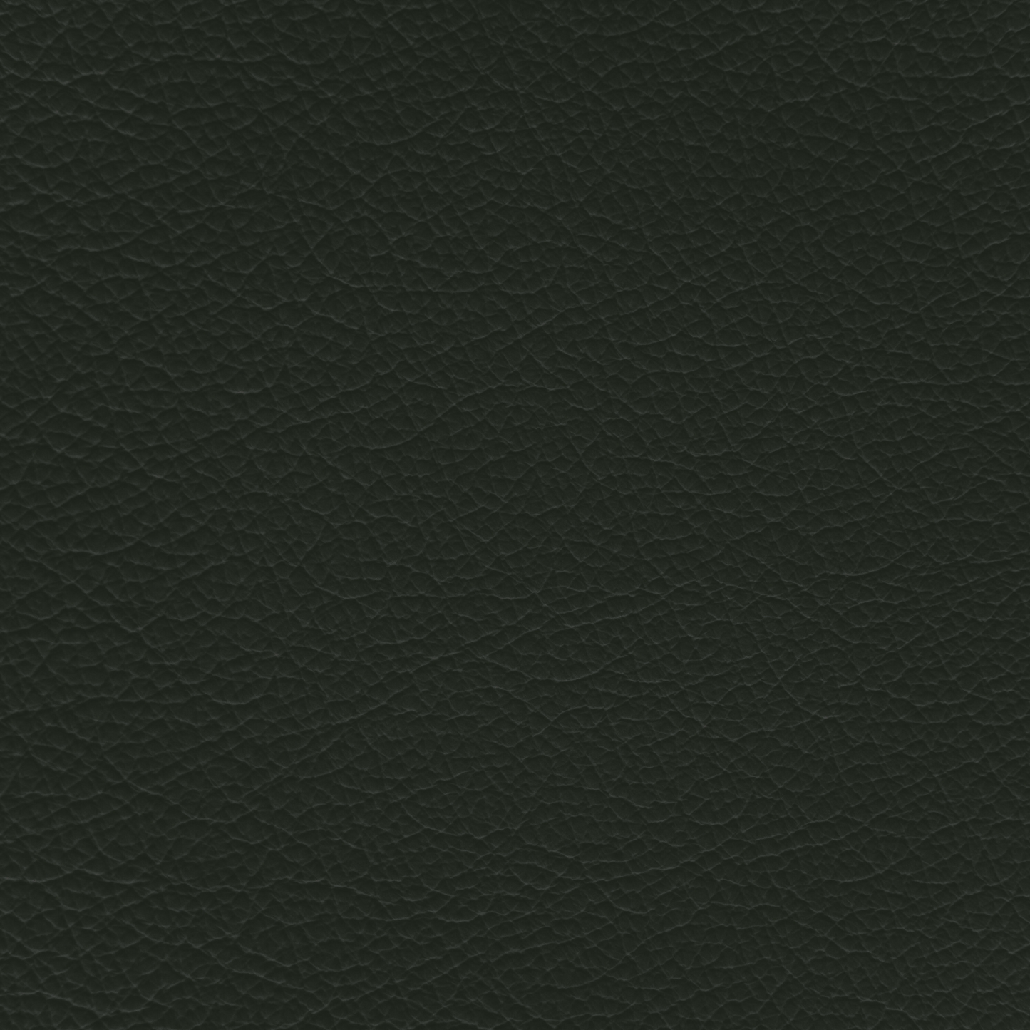 Jaguar Pine Green Leather Dye