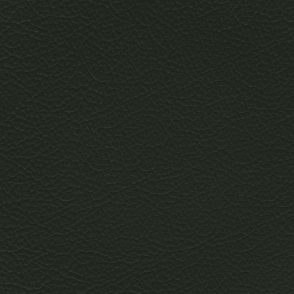 Jaguar Pine Green Leather Dye