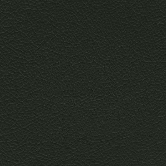 Jaguar Pine Green Leather Dye