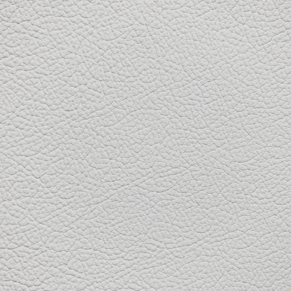 Mercedes Platinum Peal White Leather Dye