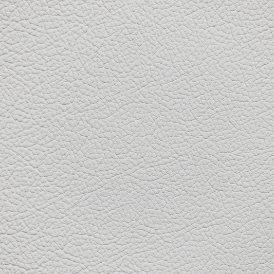 Mercedes Platinum Peal White Leather Dye