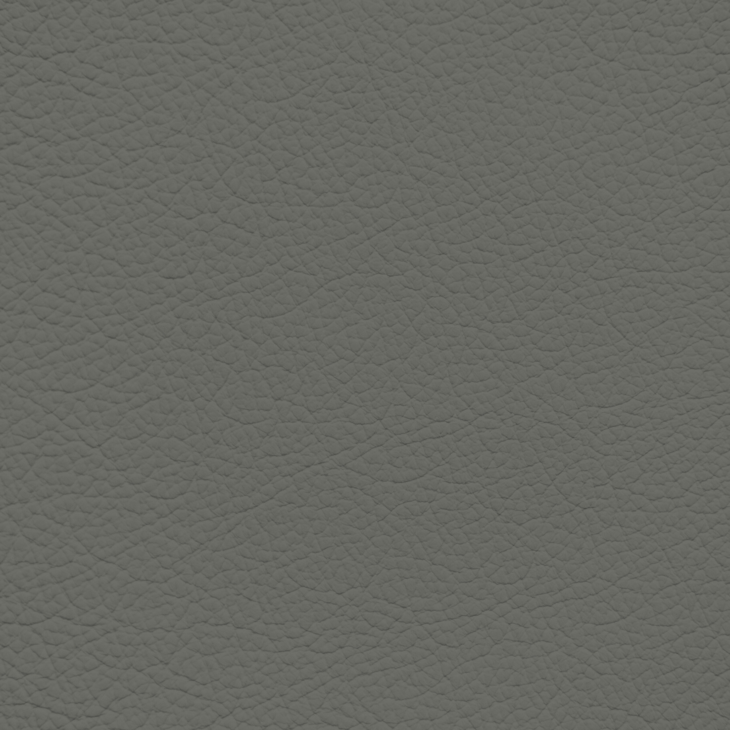 Porsche Platinum Grey Leather Dye