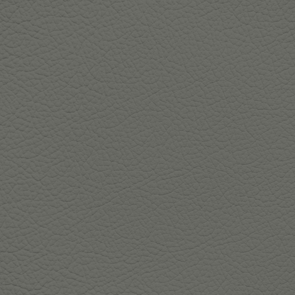 Porsche Platinum Grey Leather Dye