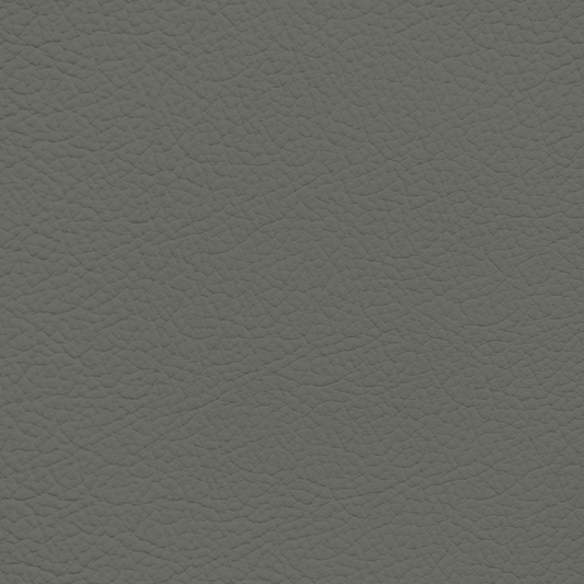 Porsche Platinum Grey Leather Dye