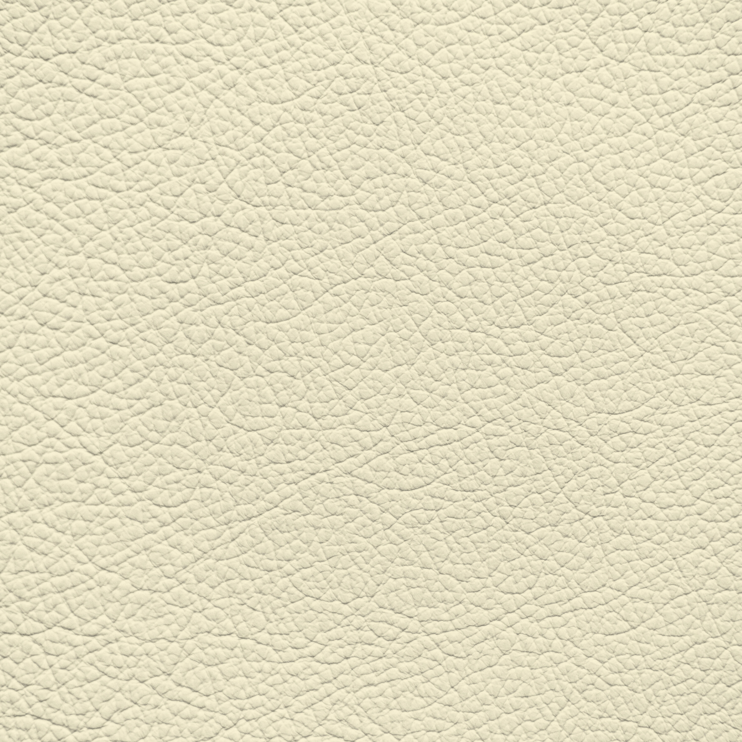 BMW Platinum (PLATIN) Leather Dye