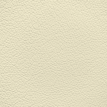 BMW Platinum (PLATIN) Leather Dye