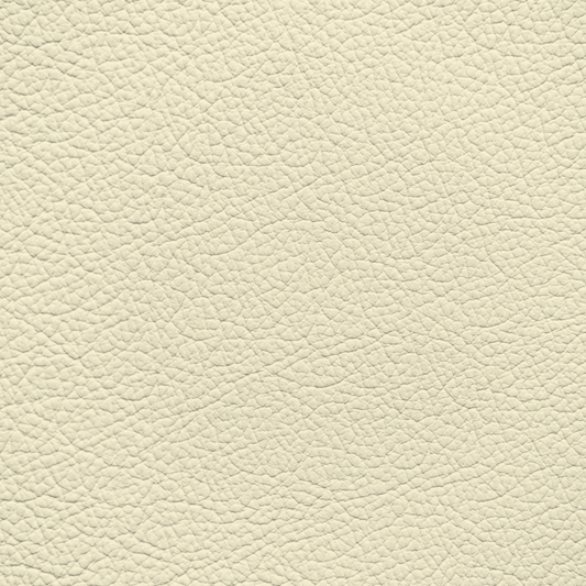 BMW Platinum (PLATIN) Leather Dye