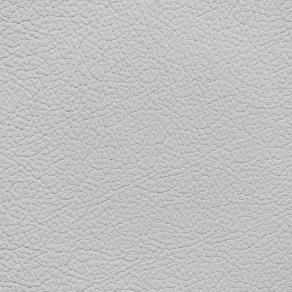 Mercedes Porcelain(Gray Tone) Leather Dye
