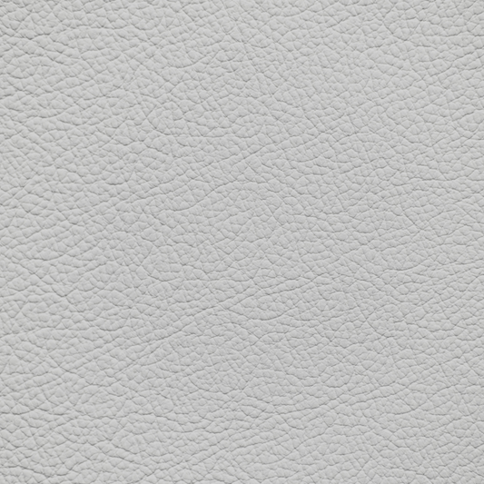 Mercedes Porcelain(Gray Tone) Leather Dye