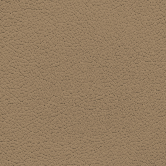 Ford/Lincoln/Mercury Prairie Tan Leather Dye