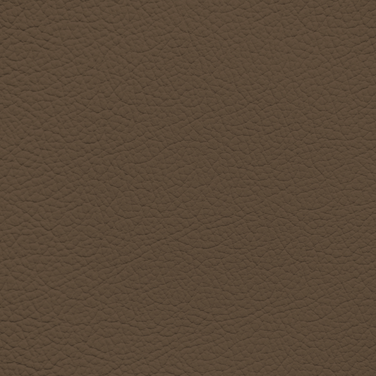 Ford/Lincoln/Mercury Pumice Leather Dye