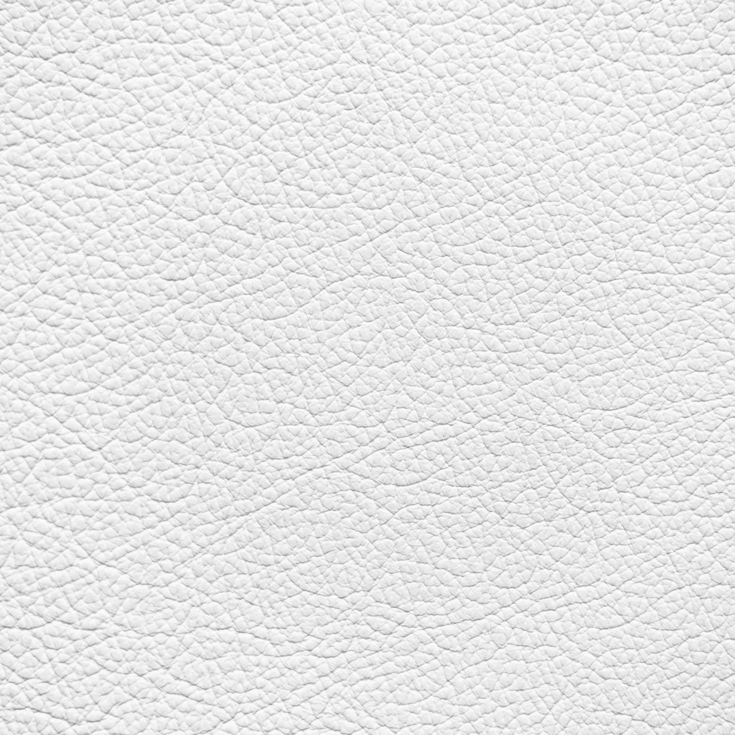 Mercedes Pure White Leather Dye