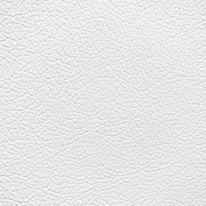 Mercedes Pure White Leather Dye