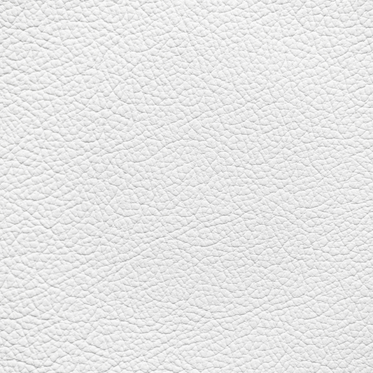 Mercedes Pure White Leather Dye