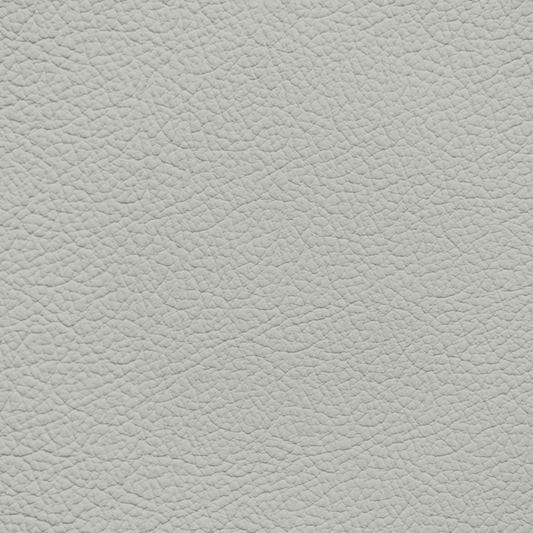 Mercedes Quartz Leather Dye