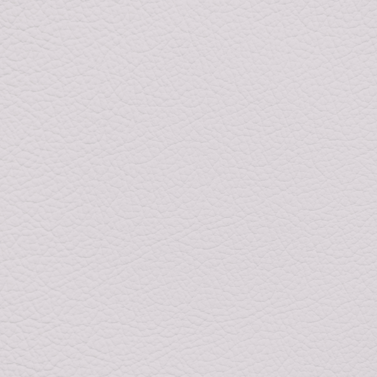 Porsche Raspberry Leather Dye