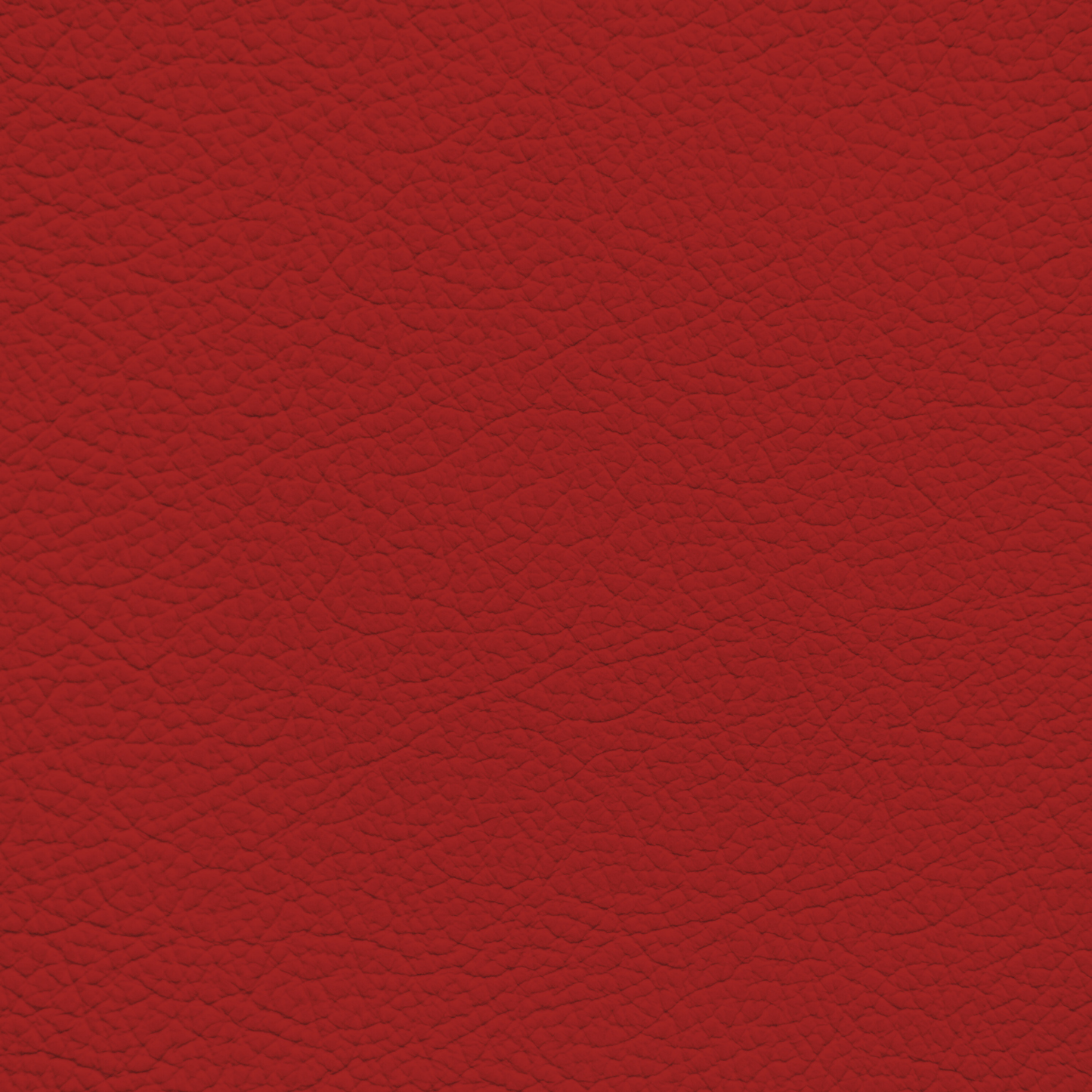 Mercedes Red(Years 2008+) Leather Dye