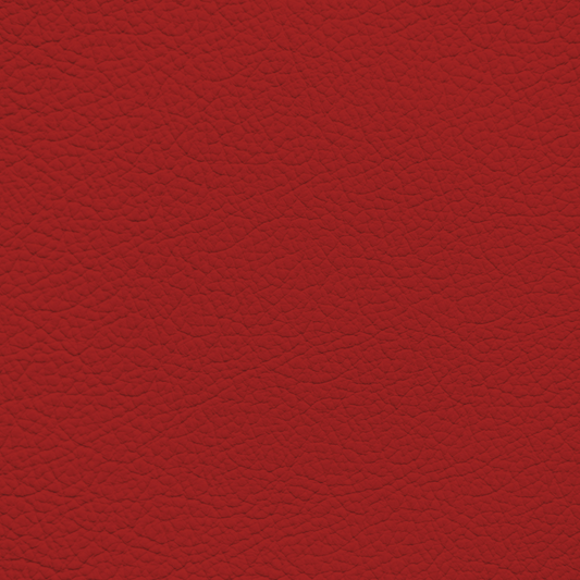 Mercedes Red(Years 2008+) Leather Dye