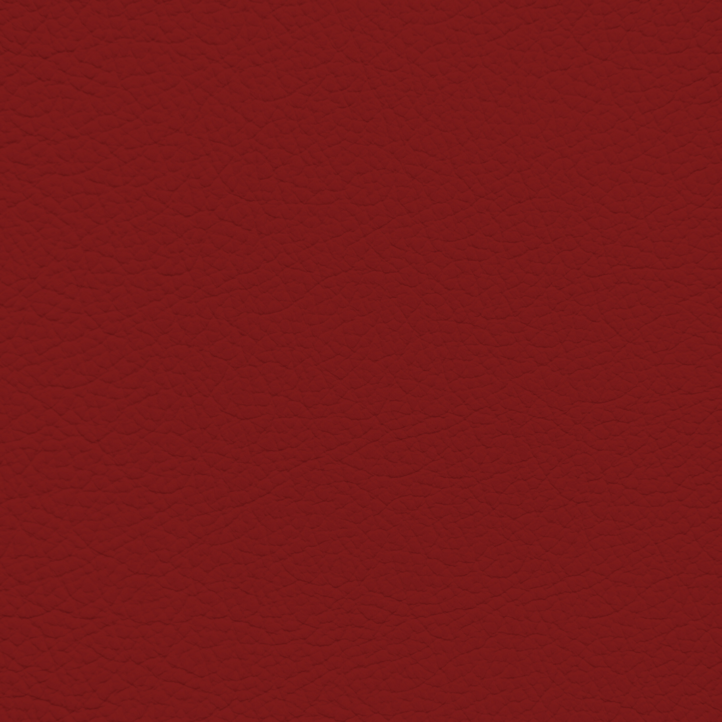 Toyota Red (2021-2023) Leather Dye