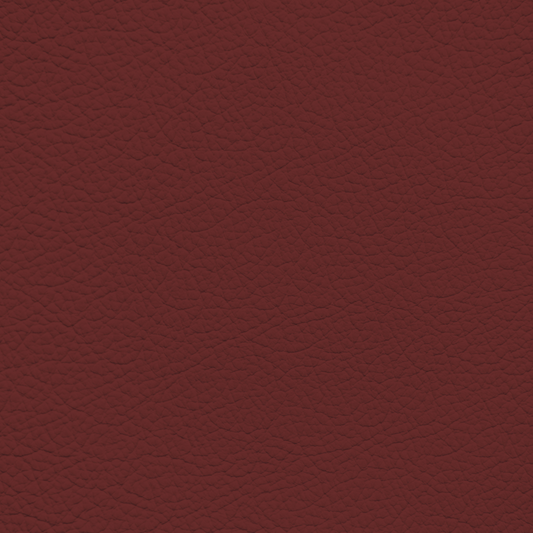 Nissan Red Leather Dye