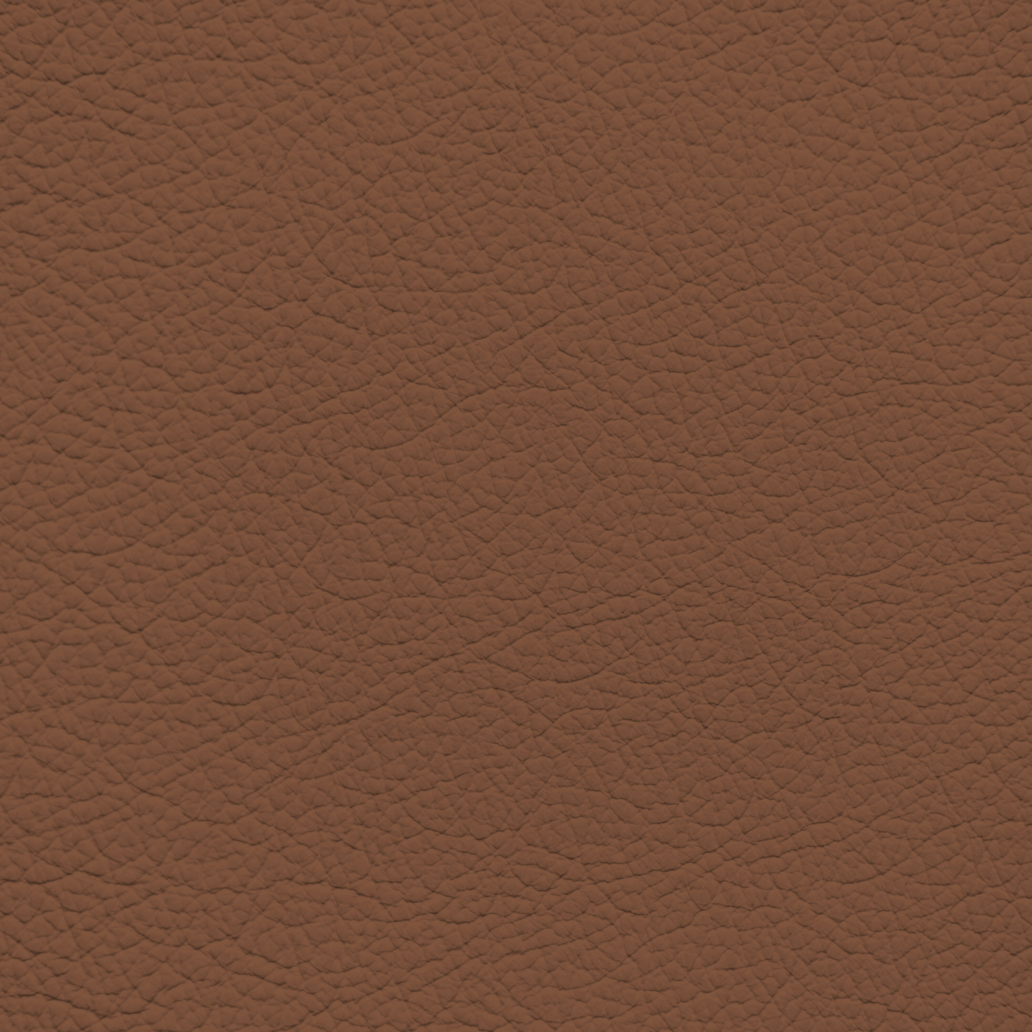 Toyota Red Rock Leather Dye